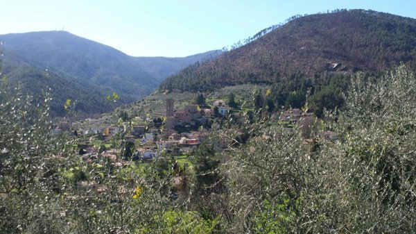 terreno agricolo in vendita a Capannori