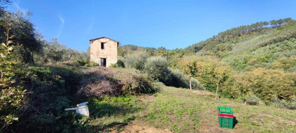 casa indipendente in vendita a Capannori in zona Castelvecchio di Compito