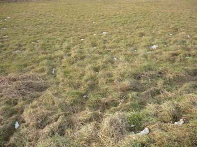 terreno agricolo in vendita a Capannori