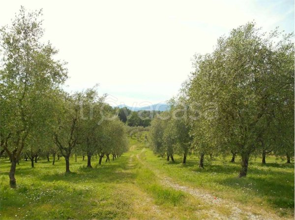 ufficio in vendita a Capannori in zona Lunata