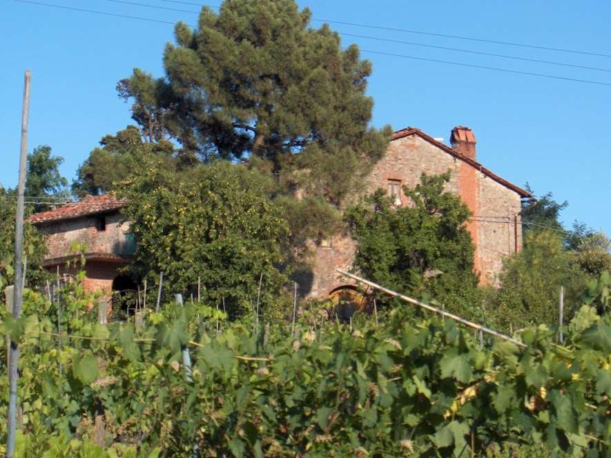 casa indipendente in vendita a Capannori