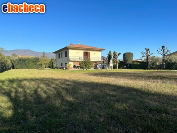 casa indipendente in vendita a Capannori in zona Lammari
