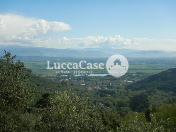 terreno agricolo in vendita a Capannori