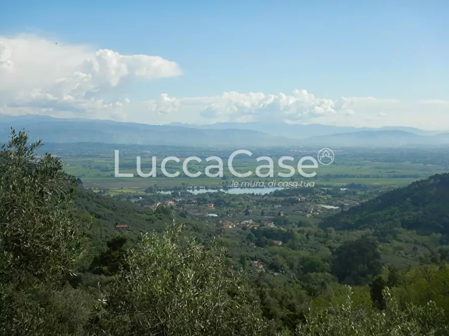 terreno agricolo in vendita a Capannori