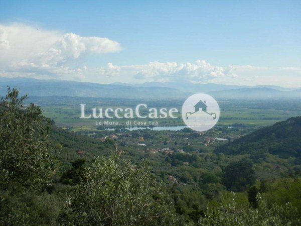 terreno agricolo in vendita a Capannori