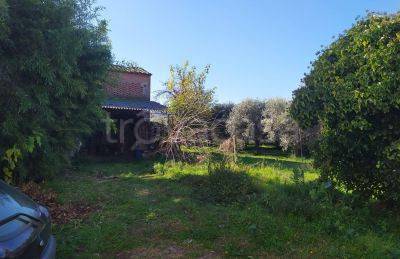 casa indipendente in vendita a Capannori