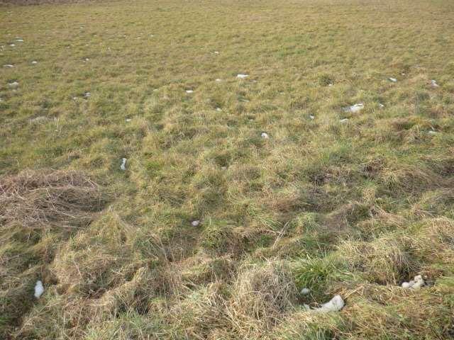 appartamento in vendita a Capannori in zona Carraia