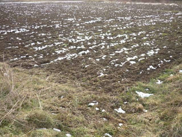 terreno agricolo in vendita a Capannori