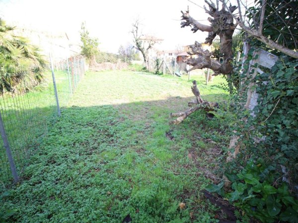 casa indipendente in vendita a Capannori