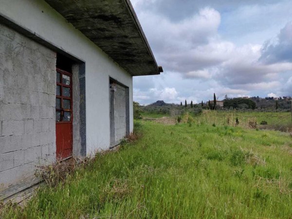 terreno agricolo in vendita a Capannori