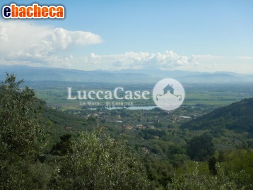 terreno agricolo in vendita a Capannori