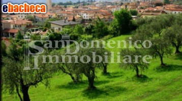 terreno agricolo in vendita a Capannori
