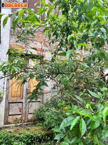 casa indipendente in vendita a Capannori in zona Segromigno in Monte