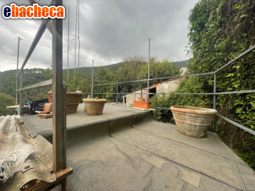 casa indipendente in vendita a Capannori
