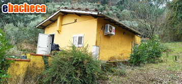 appartamento in vendita a Capannori