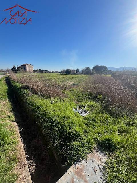 terreno agricolo in vendita a Capannori