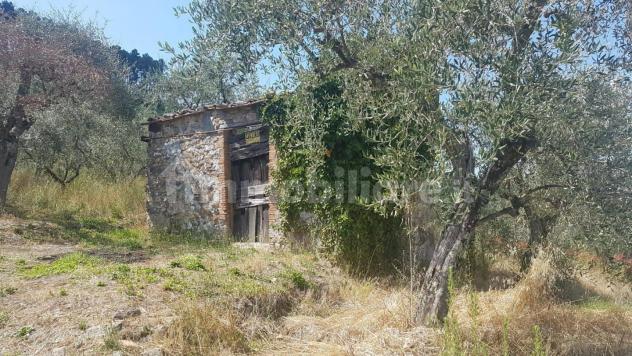 terreno agricolo in vendita a Capannori