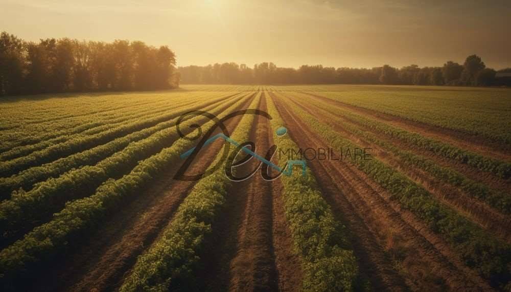 terreno agricolo in vendita a Capannori in zona Lunata