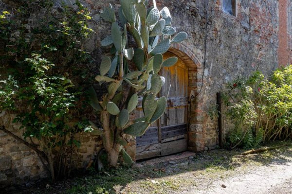 immagine annuncio 0 di 14
