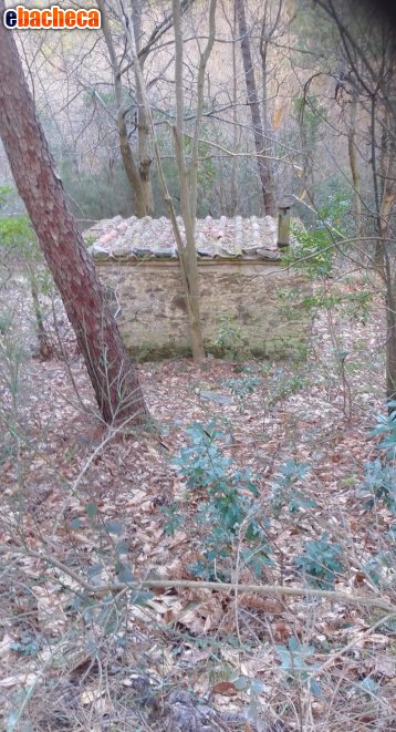 terreno agricolo in vendita a Capannori