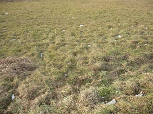 terreno agricolo in vendita a Capannori