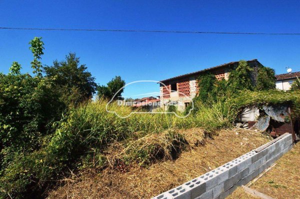 azienda agricola in vendita a Capannori in zona Lammari