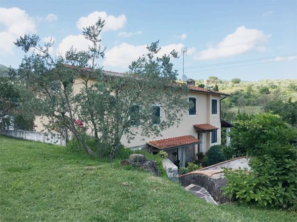 azienda agricola in vendita a Capannori