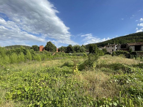 terreno agricolo in vendita a Capannori