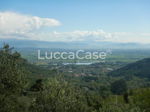 terreno agricolo in vendita a Capannori
