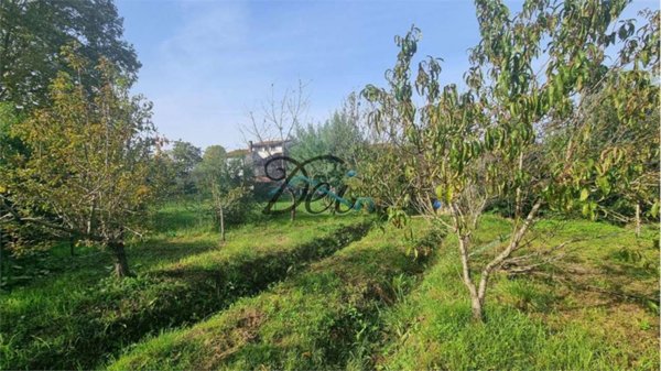 casa indipendente in vendita a Capannori in zona Guamo