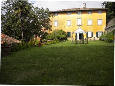azienda agricola in vendita a Capannori