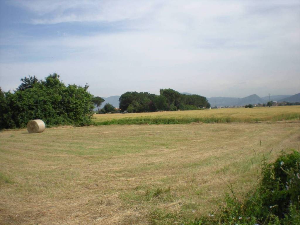 terreno agricolo in vendita a Capannori