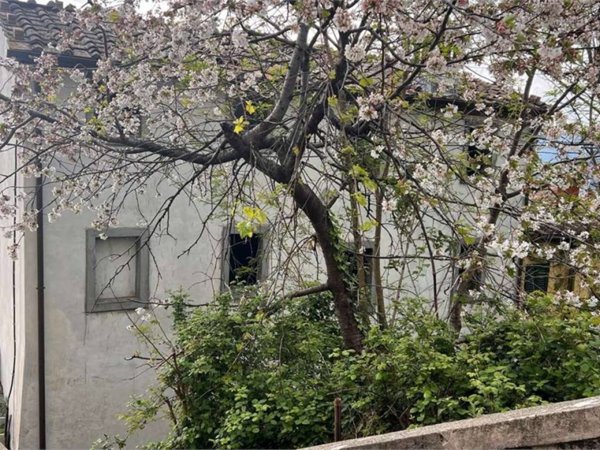 casa indipendente in vendita a Capannori