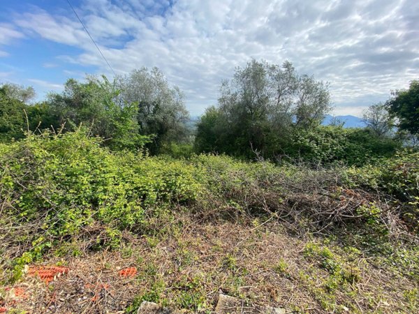 casale in vendita a Capannori