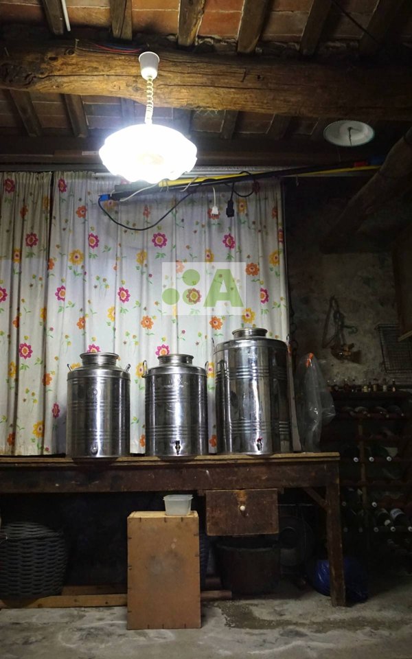 casa indipendente in vendita a Capannori in zona San Gennaro