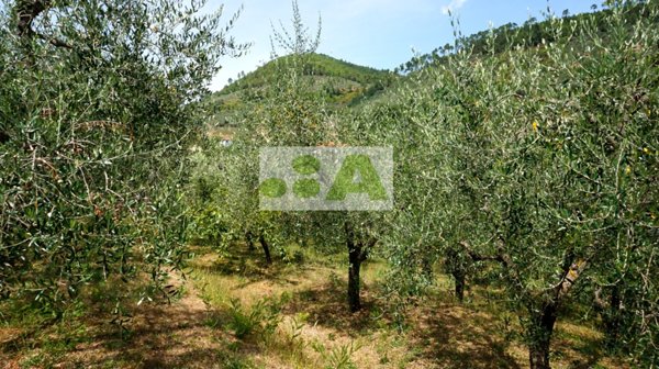 appartamento in vendita a Capannori
