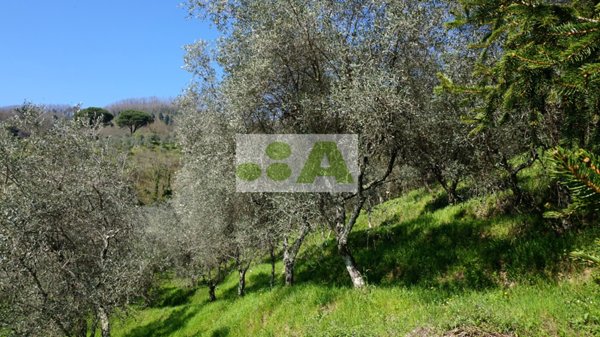 appartamento in vendita a Capannori