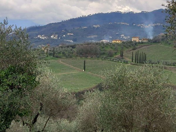 casa indipendente in vendita a Capannori