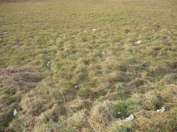 terreno agricolo in vendita a Capannori in zona Carraia