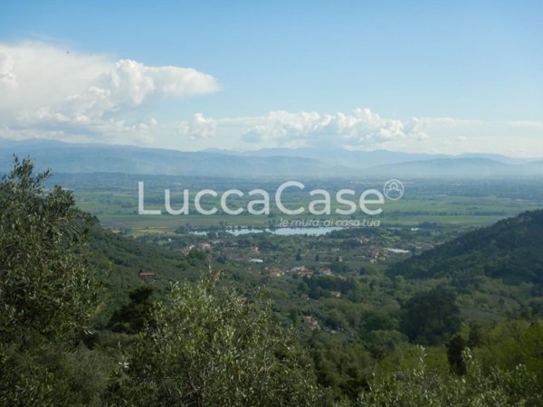 terreno agricolo in vendita a Capannori