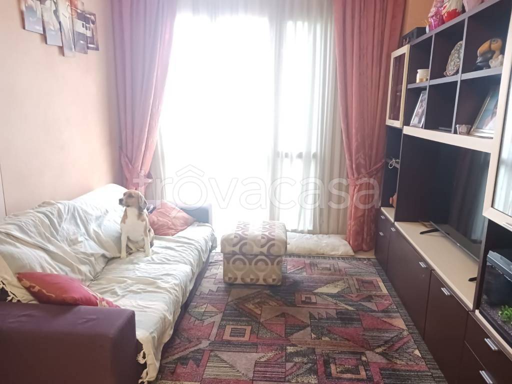 casa indipendente in vendita a Capannori