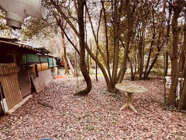 casa indipendente in vendita a Capannori in zona Segromigno in Monte