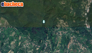 terreno agricolo in vendita a Capannori