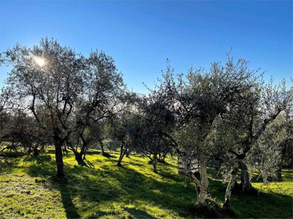 casa indipendente in vendita a Capannori in zona San Gennaro