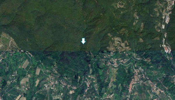 terreno agricolo in vendita a Capannori