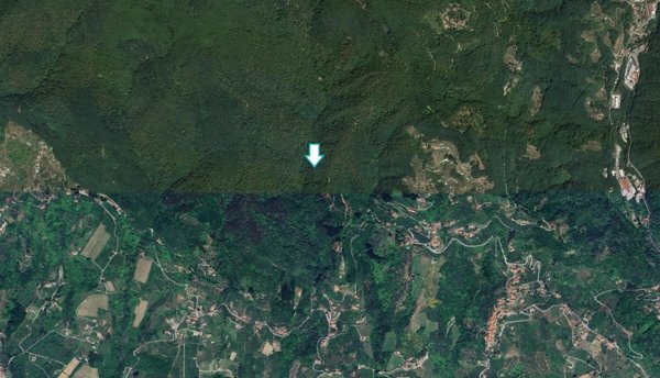 terreno agricolo in vendita a Capannori