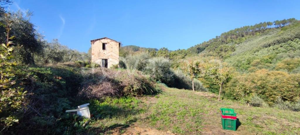 casa indipendente in vendita a Capannori in zona Castelvecchio di Compito