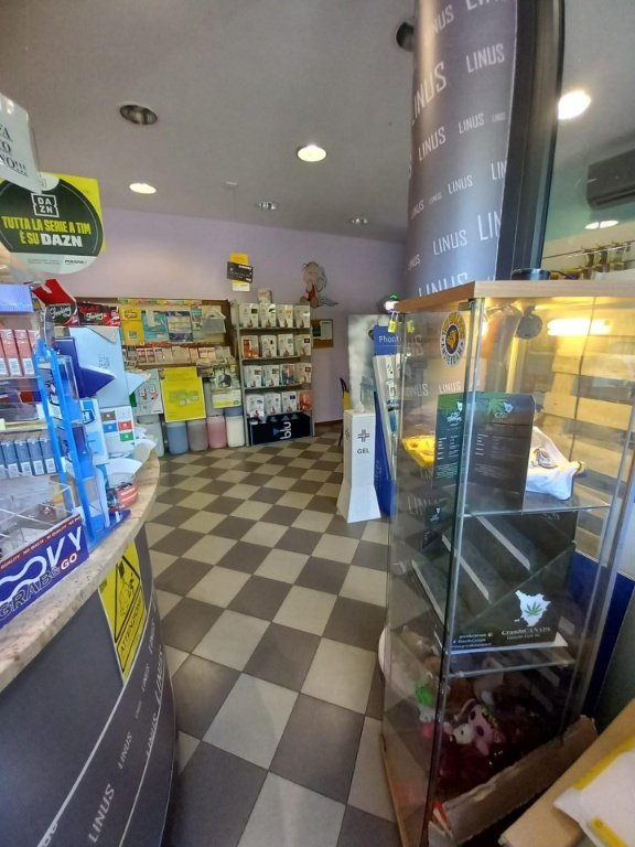 negozio in vendita a Capannori in zona Segromigno in Monte