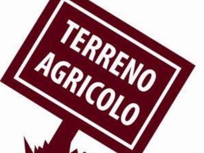 terreno agricolo in vendita a Capannori