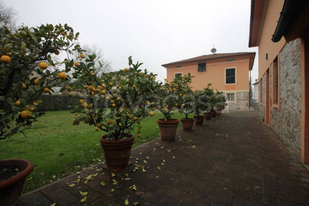 casa indipendente in vendita a Capannori in zona Santa Margherita